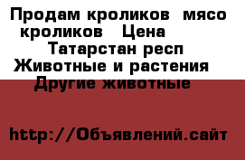 Продам кроликов, мясо кроликов › Цена ­ 300 - Татарстан респ. Животные и растения » Другие животные   